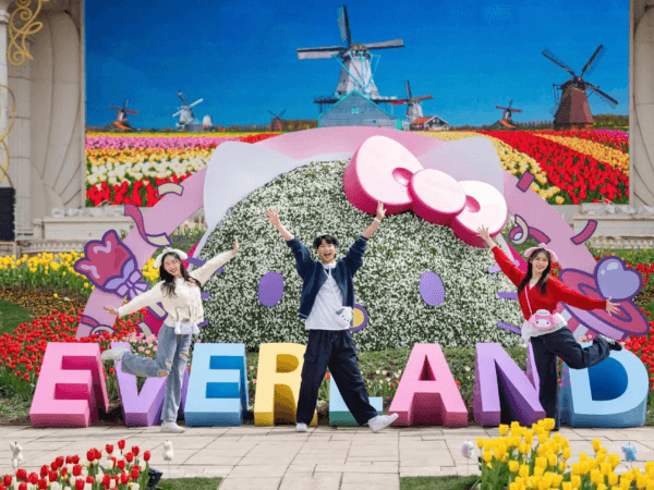 Hàn Quốc: Đảo Nami, Công Viên Everland & Thưởng Thức Painter Show (5N4D)