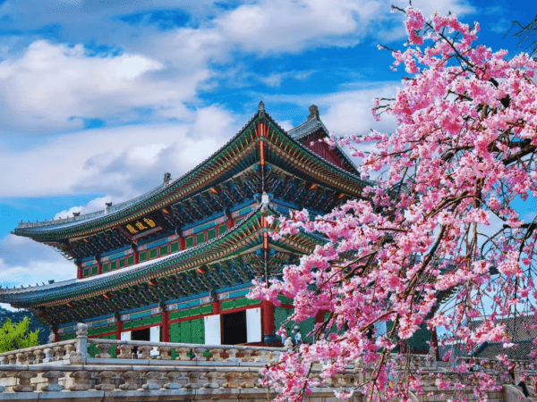 Hành Trình Kép Hàn Quốc: Cổ Kính Seoul & Lãng Mạn Biển Busan (6N5Đ)