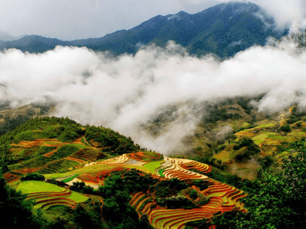 Du Lịch Sapa