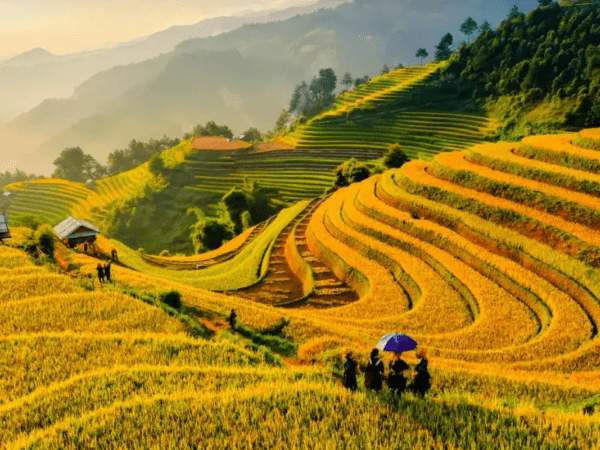 Du lịch Tây Bắc