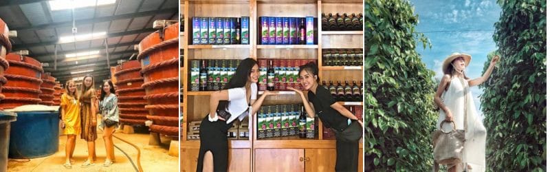 Mua sắm - Chia tay Phú Quốc