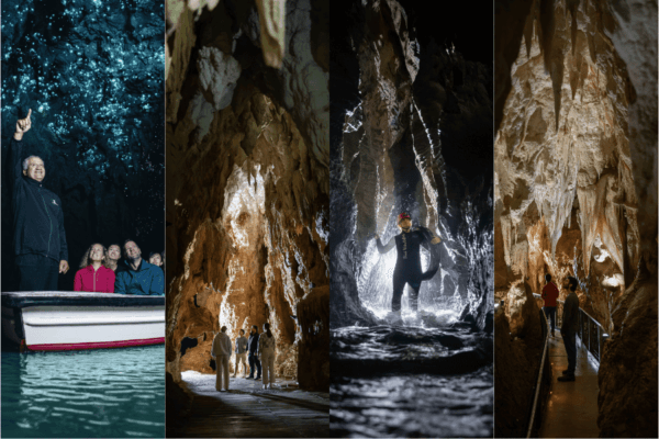 Khám Phá Toàn Cảnh New Zealand: Bắc Đảo - Nam Đảo (9N8Đ)
