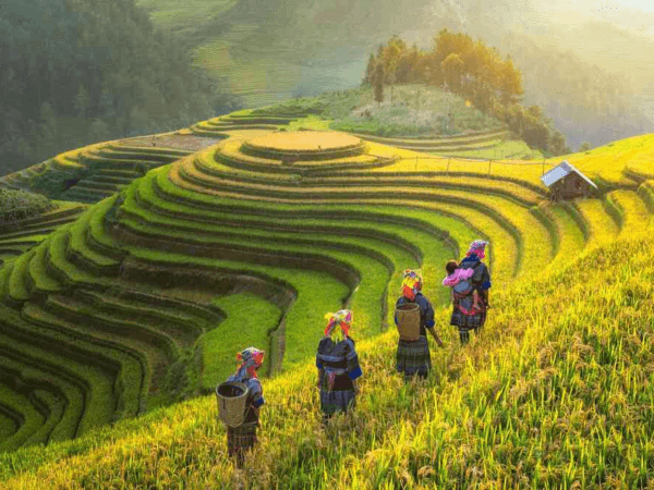 Khám Phá Xứ Bắc: Hà Nội – Hạ Long – Ninh Bình – Sapa (5N4Đ)