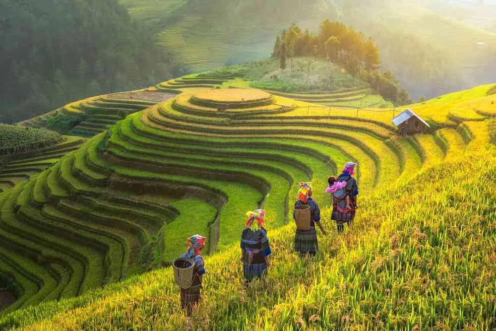 Khám Phá Xứ Bắc: Hà Nội – Hạ Long – Ninh Bình – Sapa (5N4Đ) Khám Phá Xứ Bắc: Hà Nội – Hạ Long – Ninh Bình – Sapa (5N4Đ)