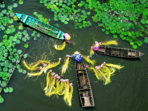 Mekong Ký Sự: Châu Đốc – Rừng Tràm Trà Sư – Cần Thơ (2N2Đ)