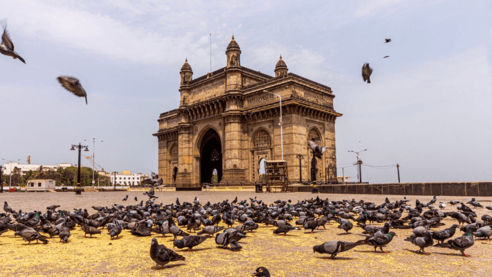 Sắc Màu Mumbai: Di Sản Hang Động Ellora & Kỳ Quan Ấn Độ (5N4Đ)