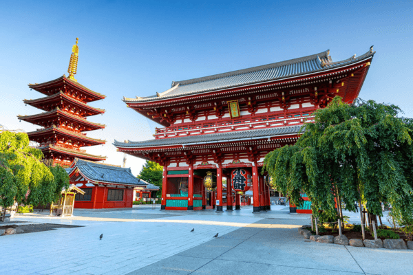 Cung Đường Vàng Nhật Bản: Check-in Chùa Vàng, Mặc Kimono & Thưởng Thức Bò Kobe (6N5Đ)