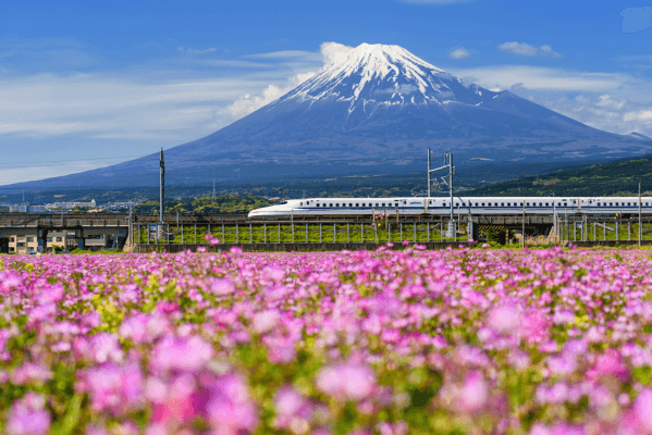 Cung Đường Vàng Nhật Bản: Thưởng Thức Bò Kobe & Trải Nghiệm Tàu Cao Tốc Shinkansen (6N5Đ)