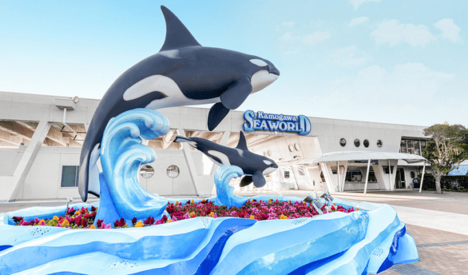 Hành Trình Khám Phá Nhật Bản: Yamanashi, Núi Phú Sĩ & Công Viên Disneyland (5N4Đ)