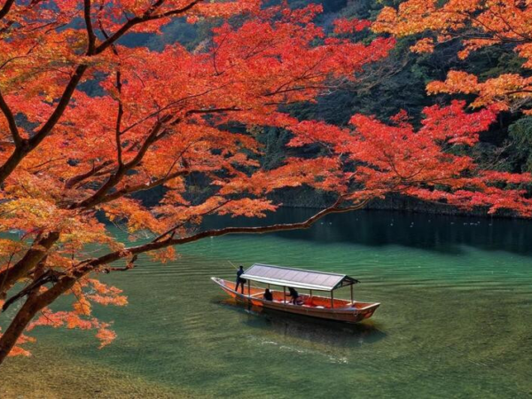 Tuyệt Tác Sắc Thu Hokkaido: Hành Trình Ngắm Lá Đỏ & Trải Nghiệm Tắm Onsen (6N5Đ)