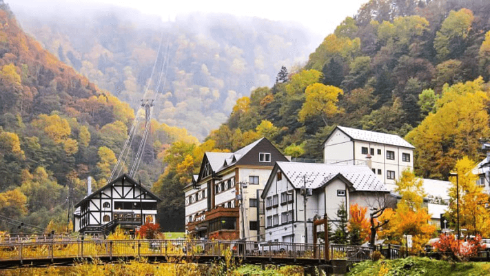 Tuyệt Tác Sắc Thu Hokkaido: Hành Trình Ngắm Lá Đỏ & Trải Nghiệm Tắm Onsen (6N5Đ)