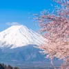 Sắc Thu Nhật Bản: Làng Cổ Shirakawago, Núi Phú Sĩ & Tắm Onsen (6N5Đ)