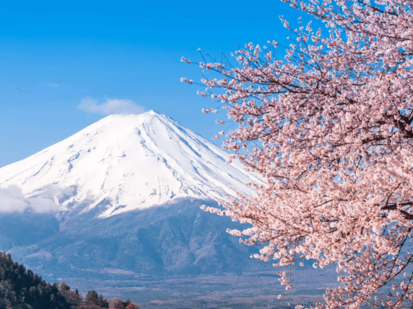 Sắc Thu Nhật Bản: Làng Cổ Shirakawago, Núi Phú Sĩ & Tắm Onsen (6N5Đ)