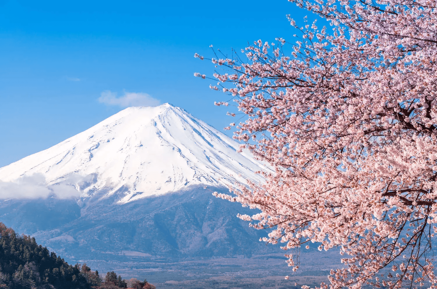 Sắc Thu Nhật Bản: Làng Cổ Shirakawago, Núi Phú Sĩ & Tắm Onsen (6N5Đ) Sắc Thu Nhật Bản: Làng Cổ Shirakawago, Núi Phú Sĩ & Tắm Onsen (6N5Đ)